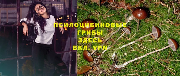 ECSTASY Вязьма