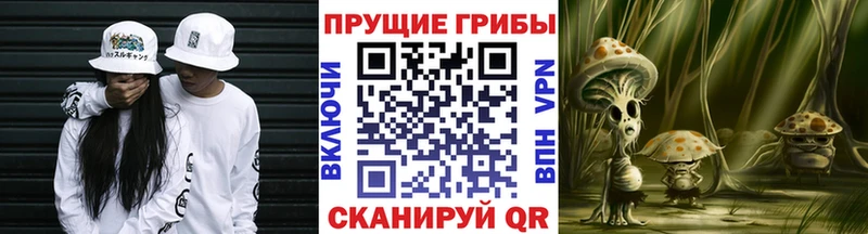 Псилоцибиновые грибы Magic Shrooms  Купить закладки  Красный Сулин 